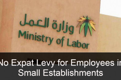 No Expat Levy for Employees in Small Establishments